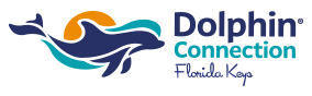 Dolphin Connection Florida Logo