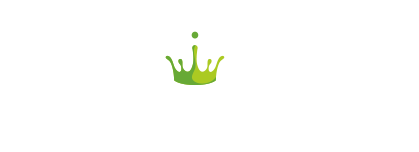 dolphin-discovery-logo