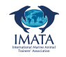 IMATA Banner
