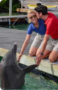 Dolphin Connection Riviera Maya