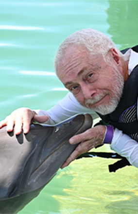 Dolphin Connection Riviera Maya