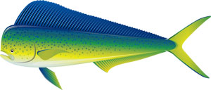 BlueDolphinFish